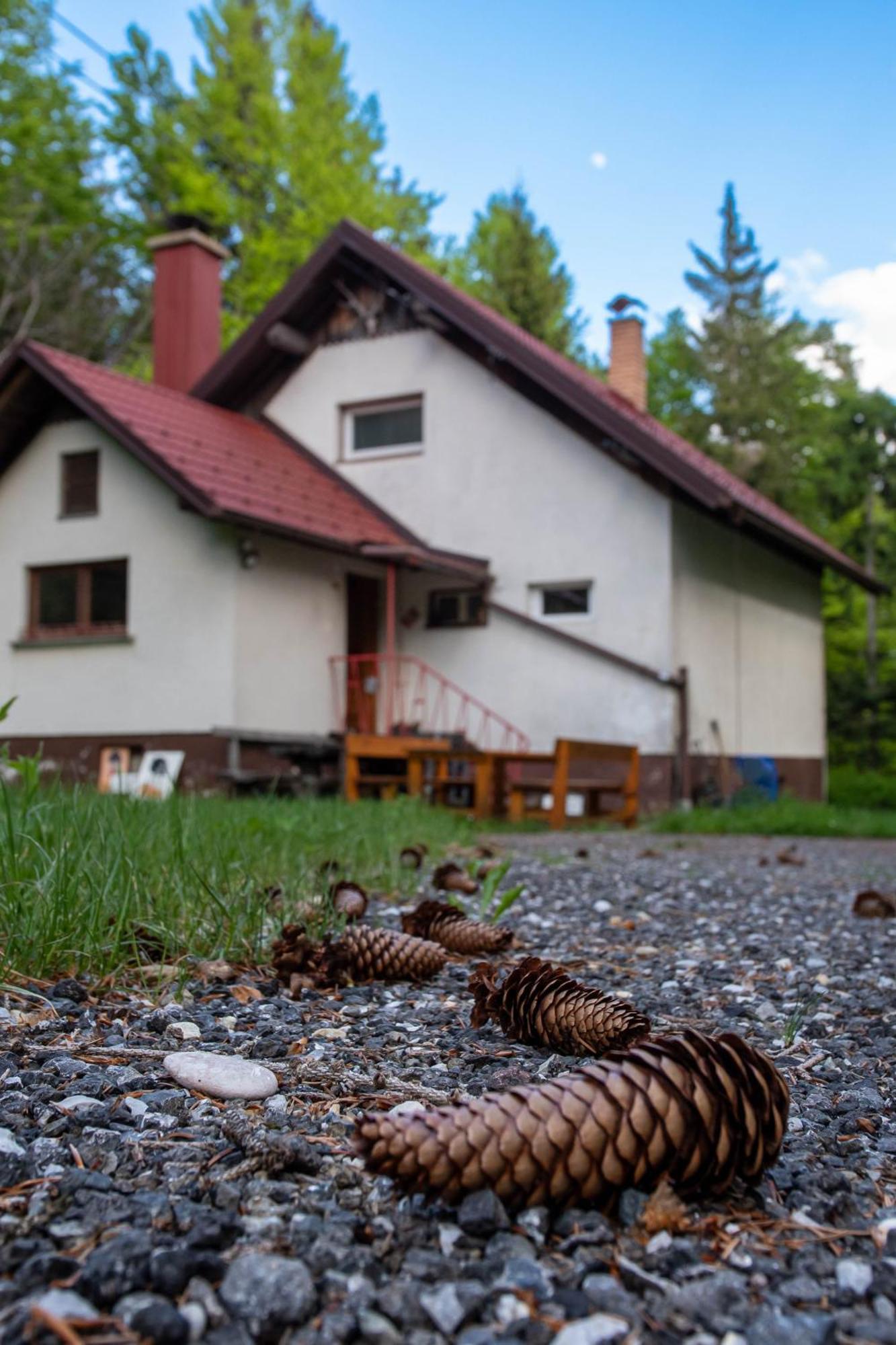 Vila House Angelca Hočko Pohorje Exteriér fotografie